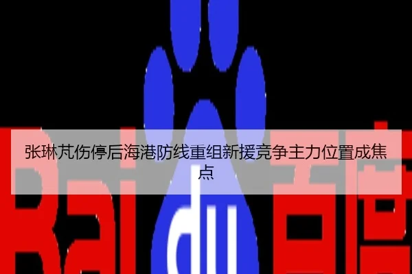 张琳芃伤停后海港防线重组新援竞争主力位置成焦点