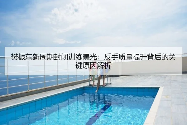 樊振东新周期封闭训练曝光：反手质量提升背后的关键原因解析